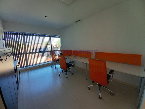 Neuquen. Alquiler. Oficinas