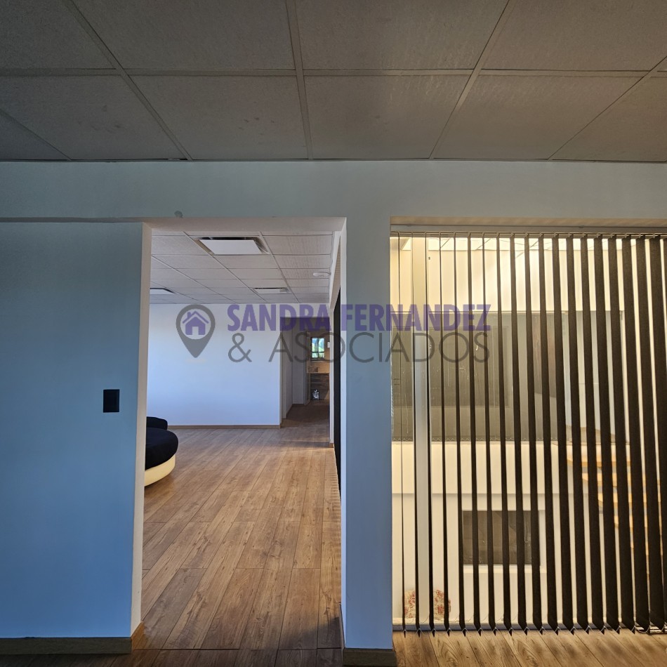 Neuquen. Alquiler. Oficinas