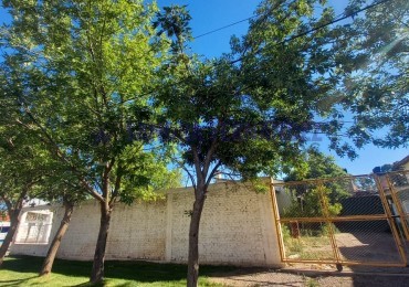 Neuquen. Centenario. 2 Galpones - Oficinas