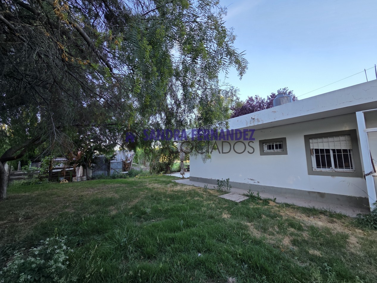 Neuquen Centenario Alquiler Predio de 6 hectareas con tinglado, galpon, casa y oficinas