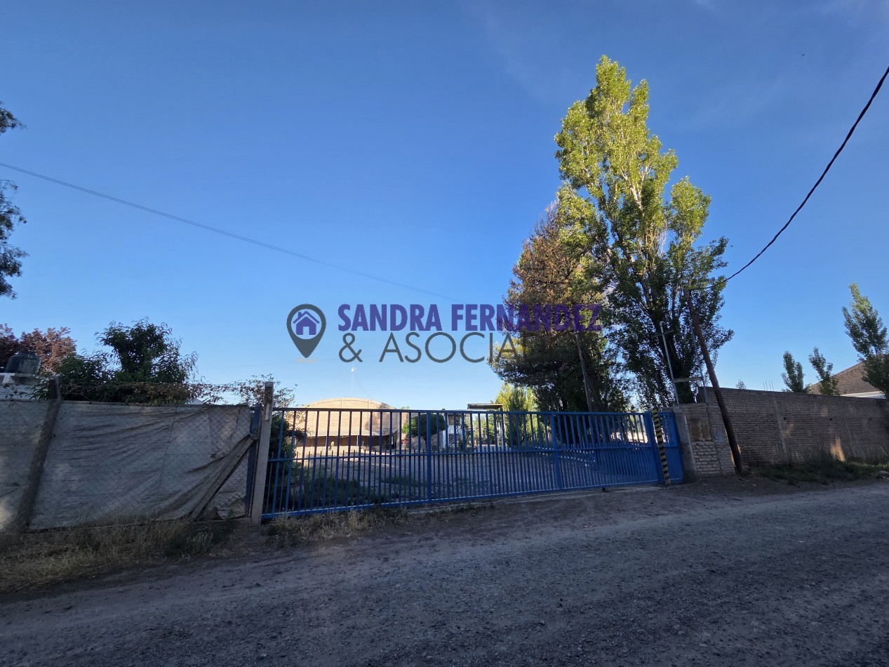 Neuquen Centenario Alquiler Predio de 6 hectareas con tinglado, galpon, casa y oficinas