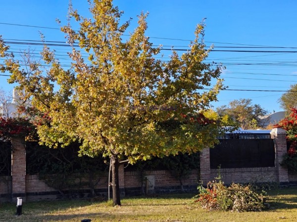 Rio Negro  Cipolletti  Venta  Casa 4 dormitorios (1 suite) Barrio Santa Clara 