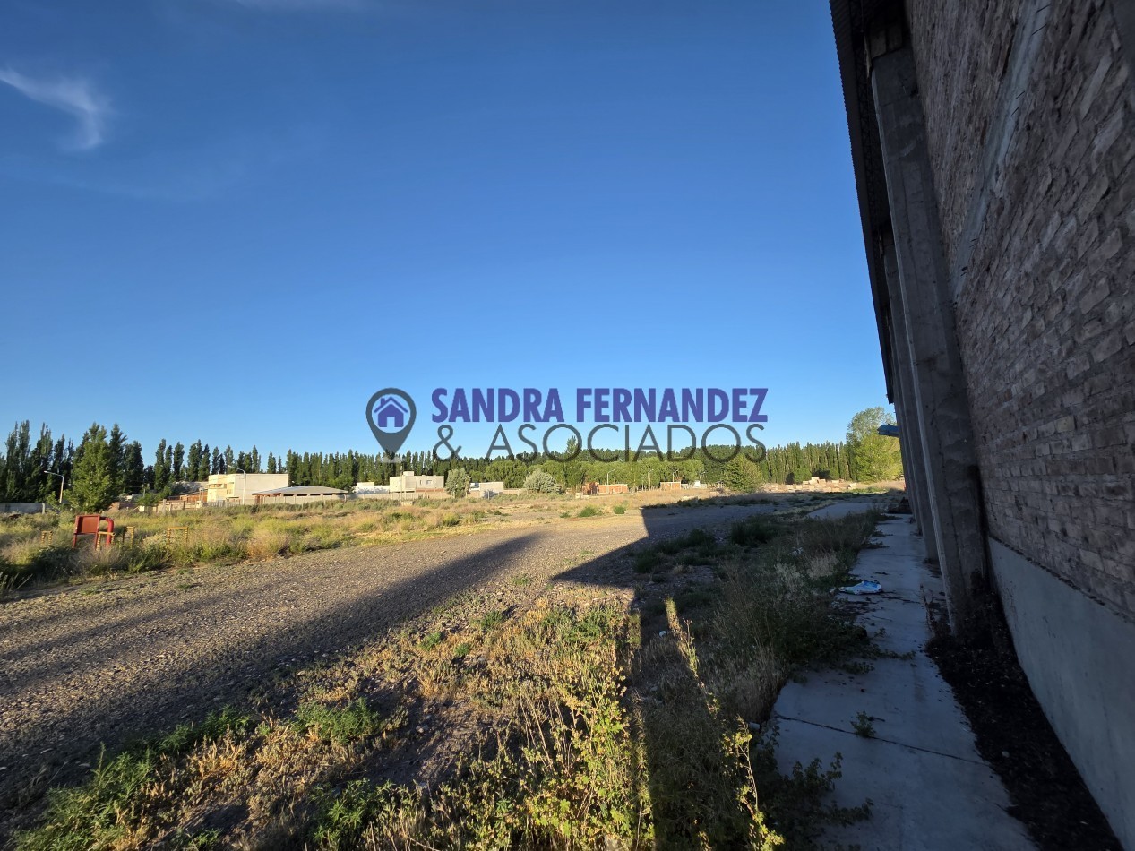 Neuquen Centenario Alquiler Predio de 6 hectareas con tinglado, galpon, casa y oficinas