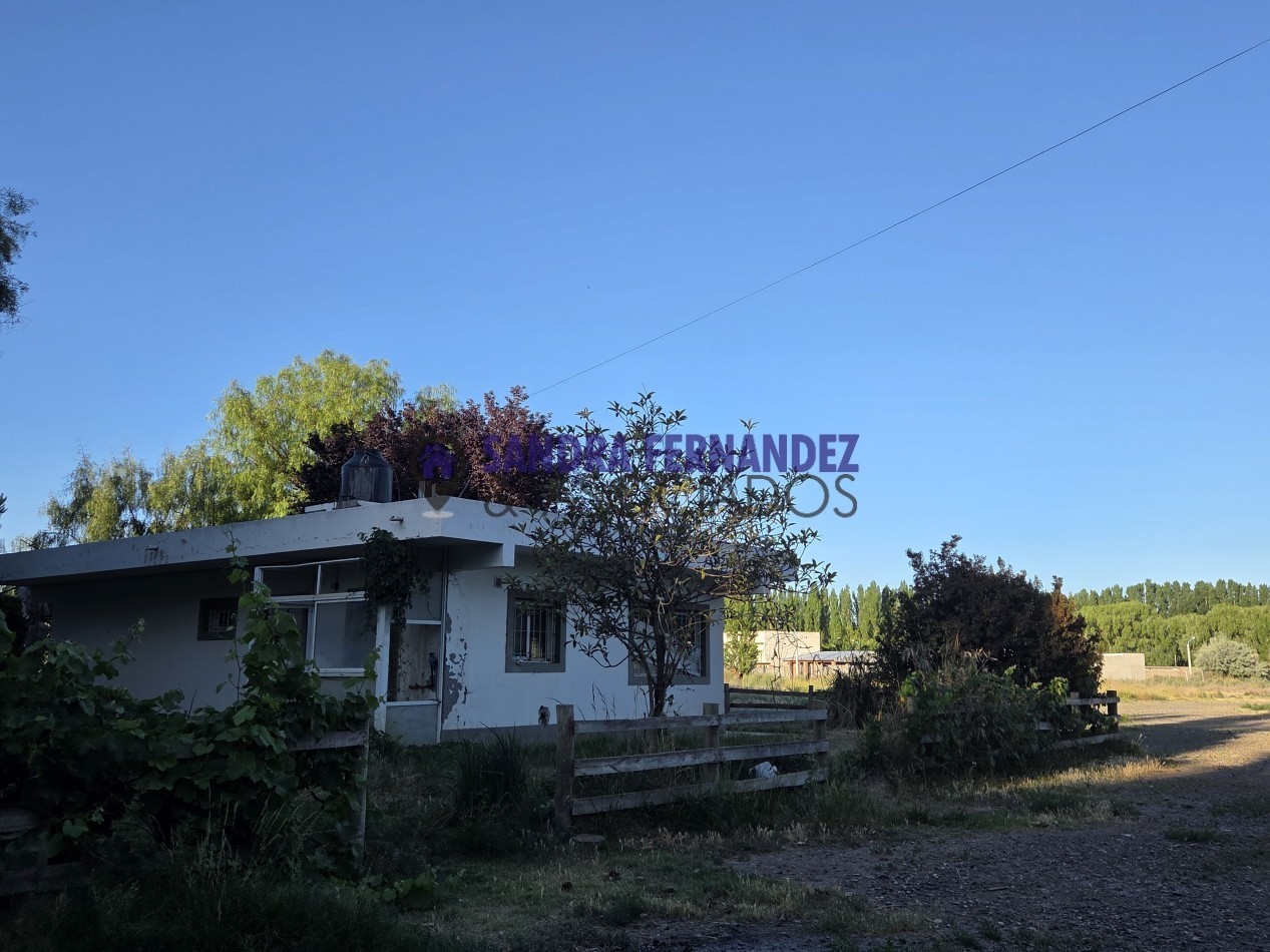 Neuquen Centenario Alquiler Predio de 6 hectareas con tinglado, galpon, casa y oficinas